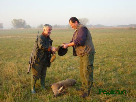 capriolo2.jpg