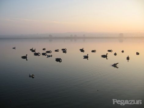 lago.jpg